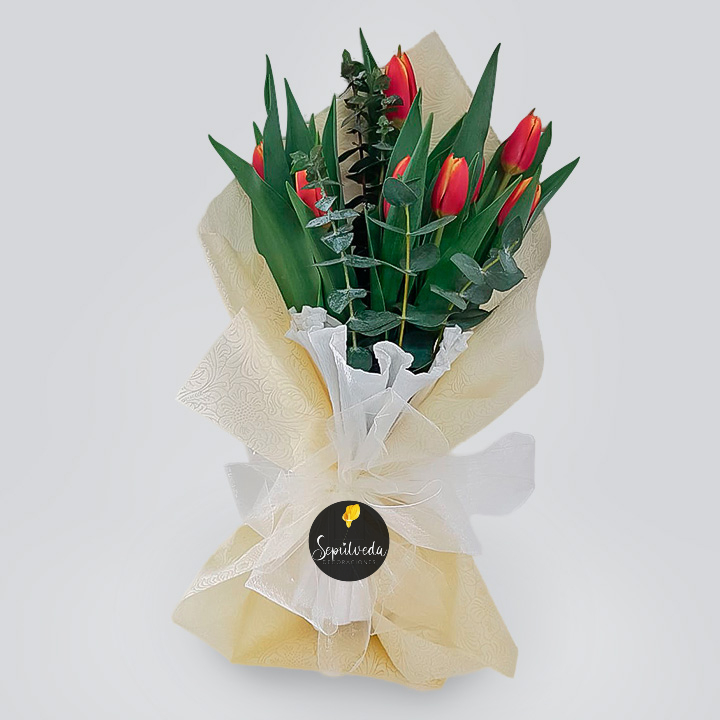 Ramo de 10 Tulipanes - Sepúlveda Decoraciones - Florería, Ambientación,  Decoración e Iluminación