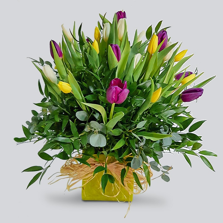 Arreglo Floral Mix Tulipanes Follaje - Sepúlveda Decoraciones - Florería,  Ambientación, Decoración e Iluminación